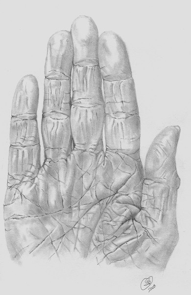Human Hand