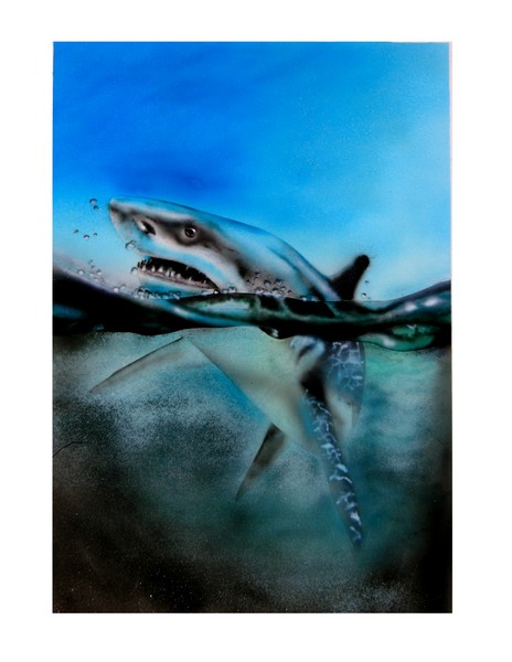 Shark attack
