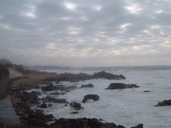 Wild sea 2