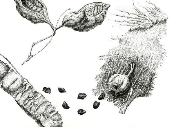 Stippled Composition