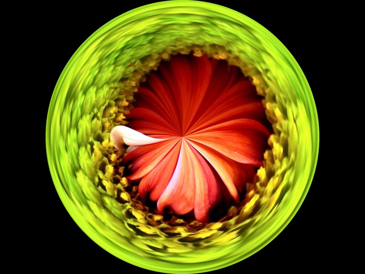 Morphed Art Globe 1