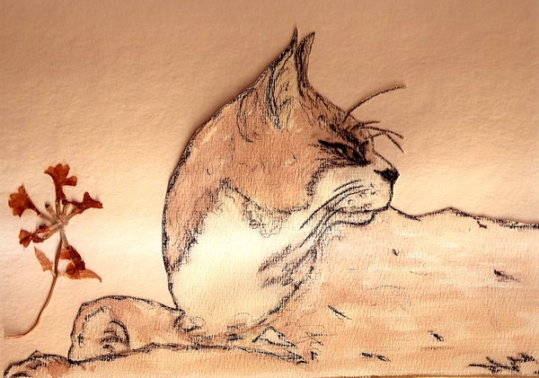 Cat with flower