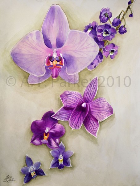 Purple Orchids