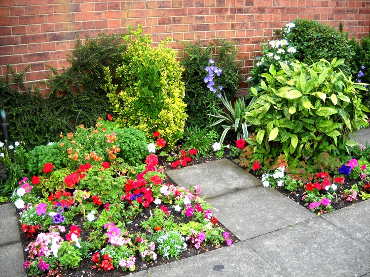 Mini Garden on Road.