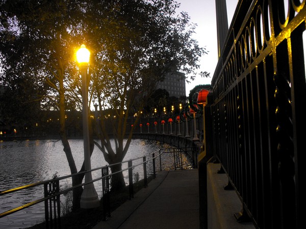 Evening Stroll