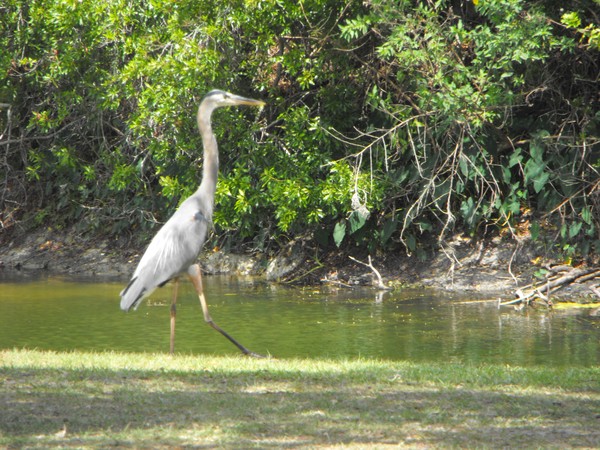 Saddle Creek Park/Lakeland,Florida