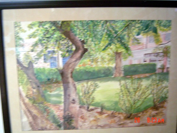 my college