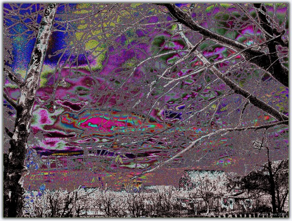 Tree In The Dark XLVIII