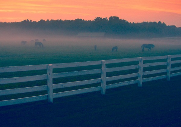 Cool summer evening