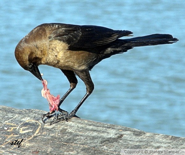 lunch time