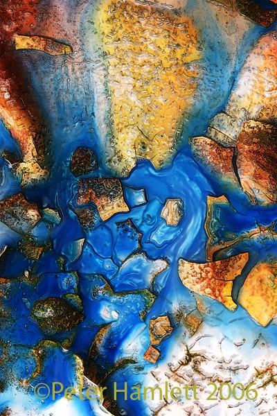 Sea Shell