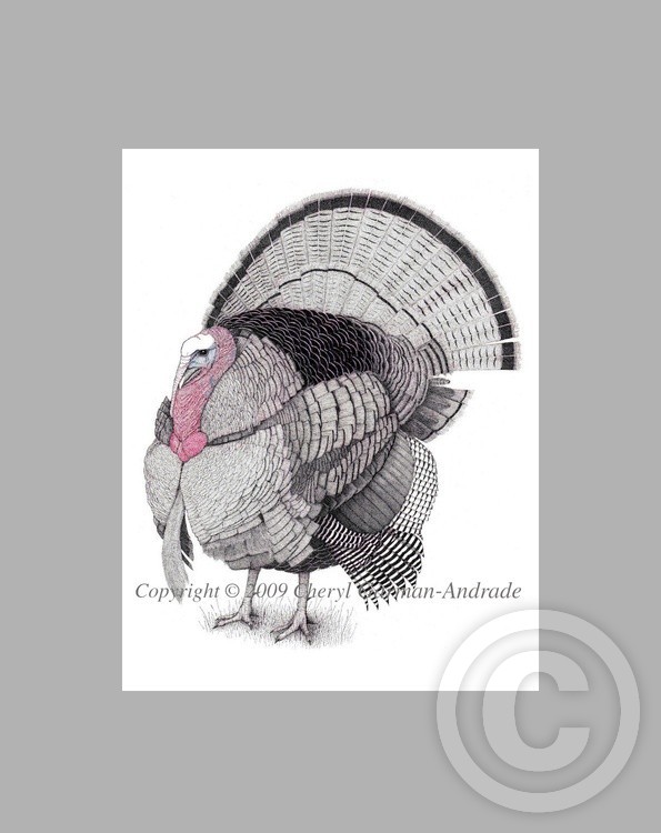 Rio Grande Turkey Pen and Ink Pointillism