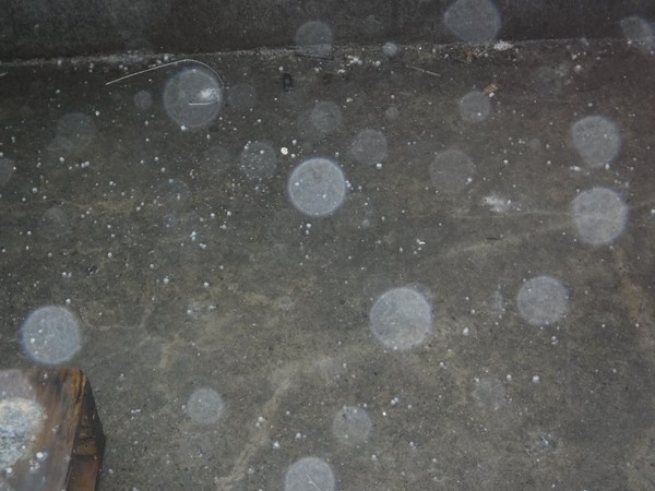 Hail-Yes!