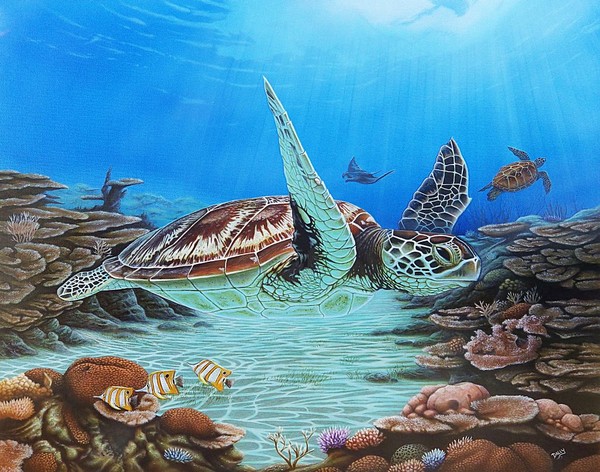 Sea Turtle