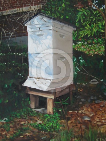 Annapolis Bee Box