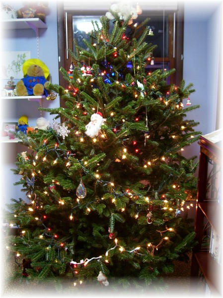 my tree,in my studio