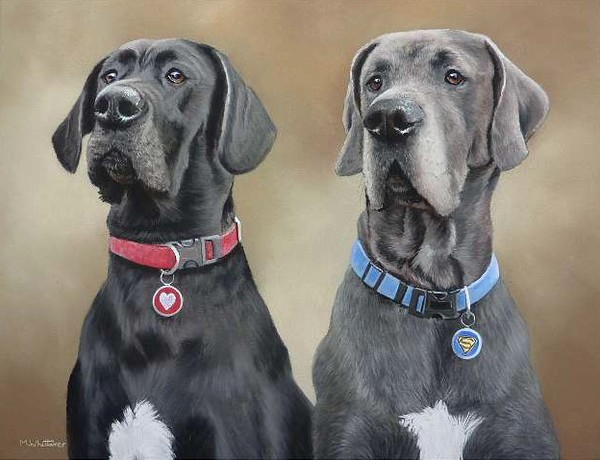 Great Danes Portrait