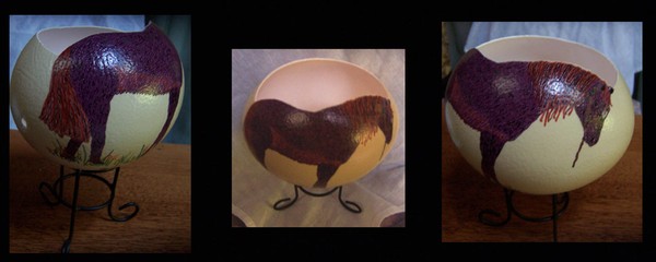 Ostrich Egg Bowl 1