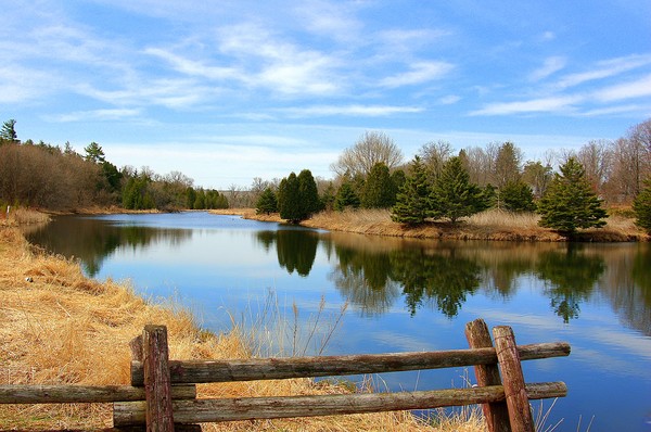 Millpond