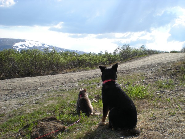 Friends watching the sunset