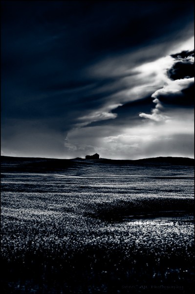 The Perfect Storm
