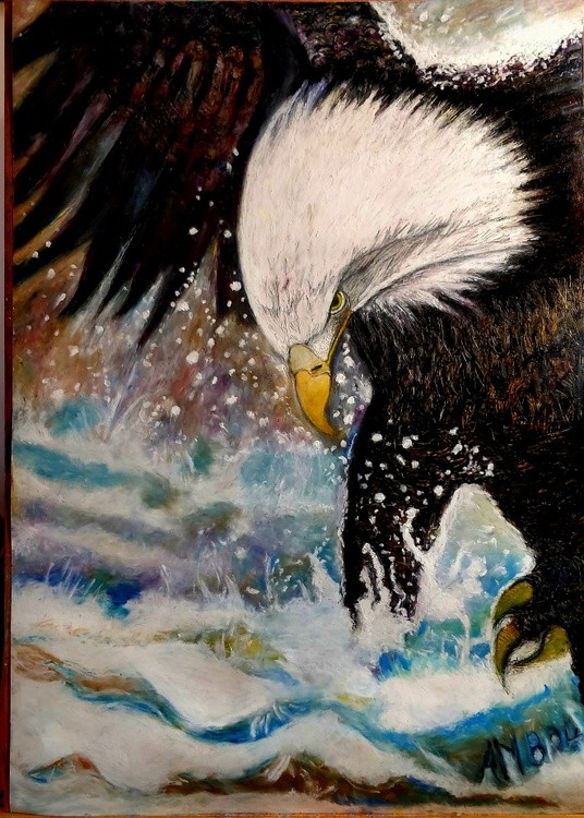 The eagle  has landed