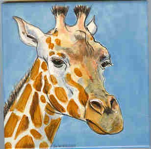 Giraffe Portrait