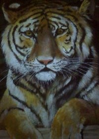 Tigar