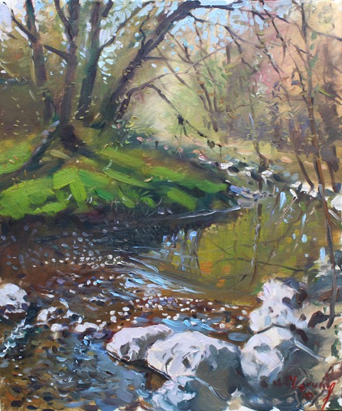 Creek in the Woods