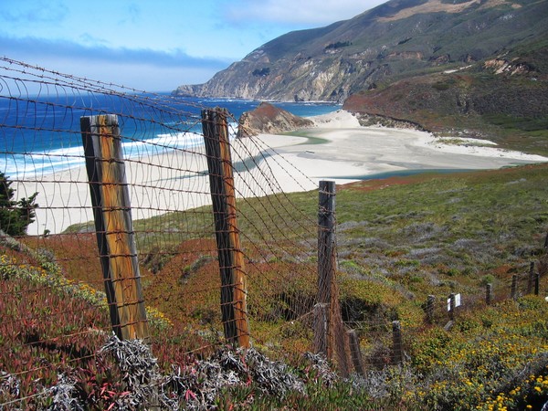 Old Ranch and Ocean, Big Sur