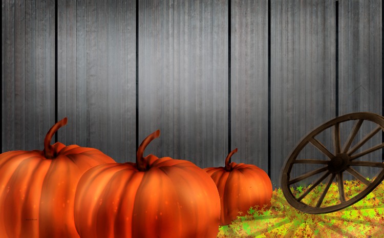 Fall Harvest