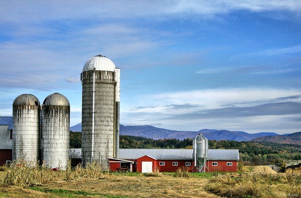 Barn With A View