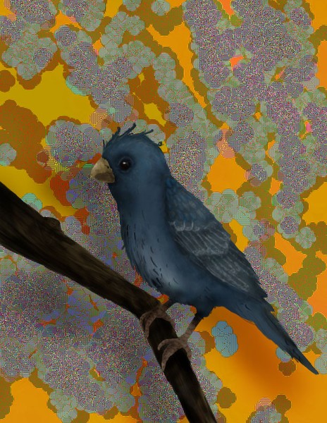 the blue bird