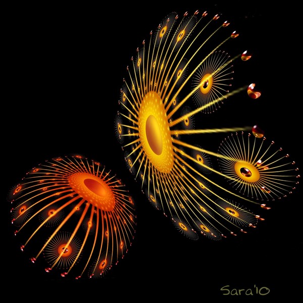 Sunfish