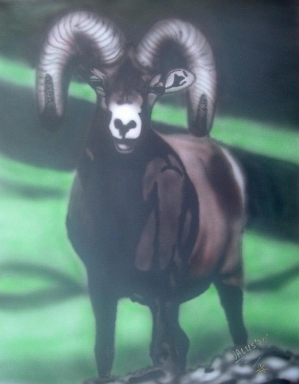 bighorn