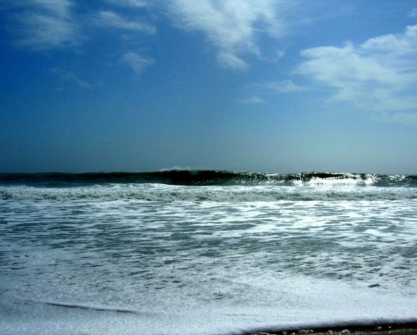 Surf OC #3