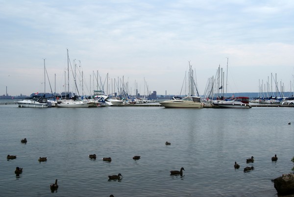 Lasalle Park Marina