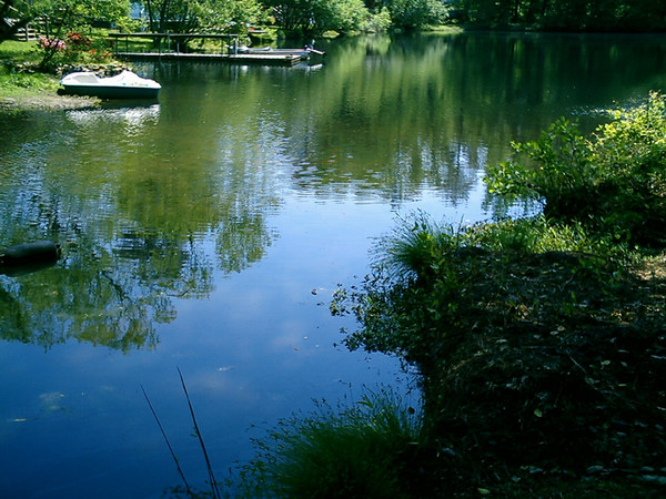 The Lake
