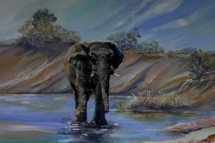 Elephant wade