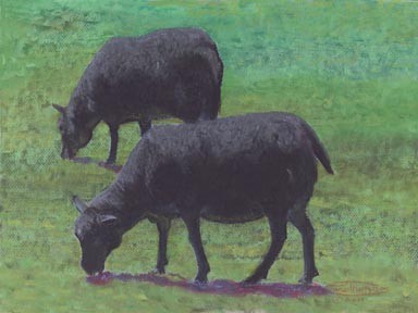 Baa, Baa