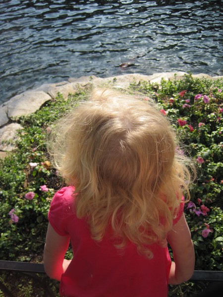 At the Grove, Babysitting Katie