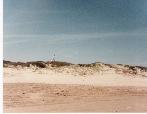 seagoll
