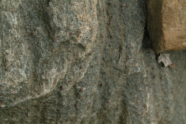 rocks