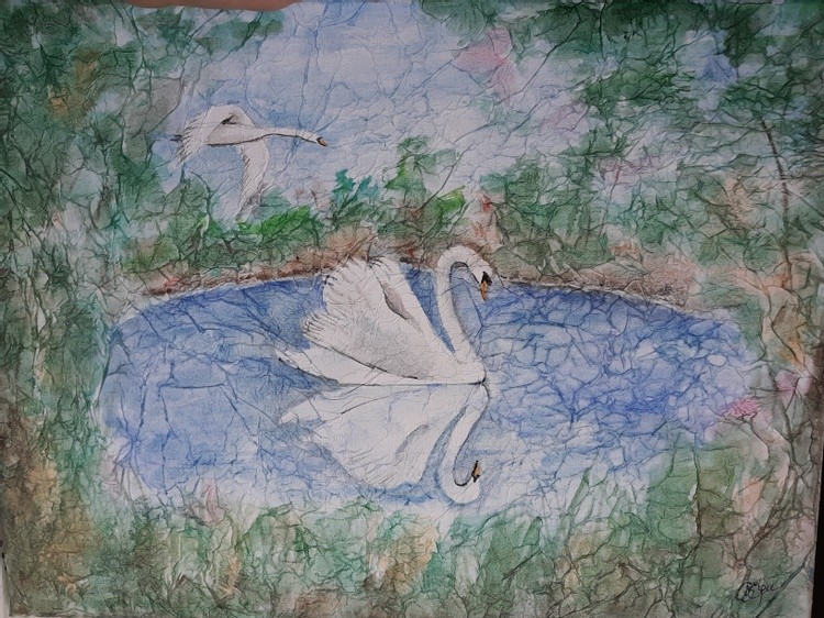 Swans