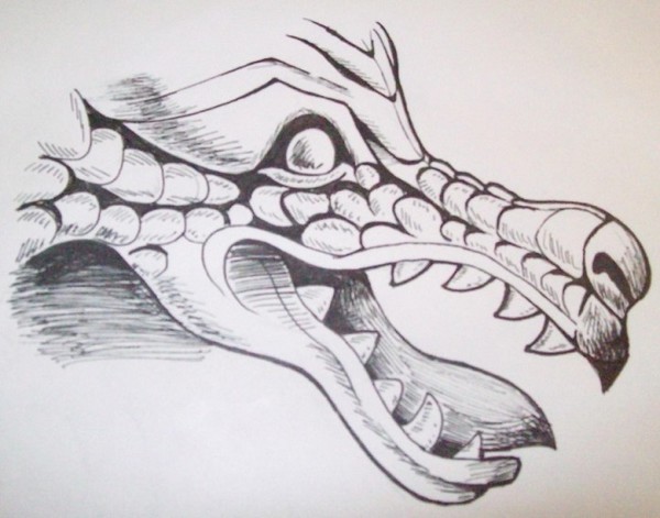 Dragon Sketch