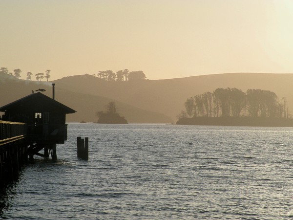 Tomales Bay Islands from Nick's cove 
