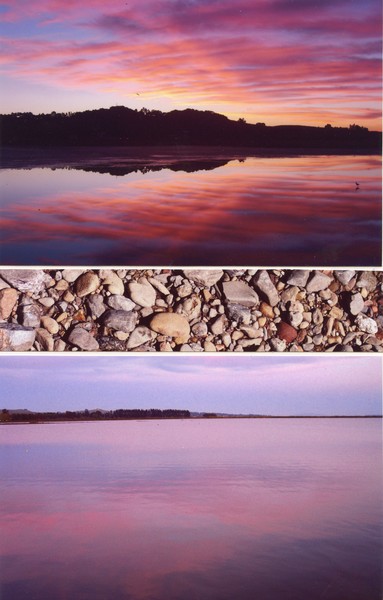 Ripples