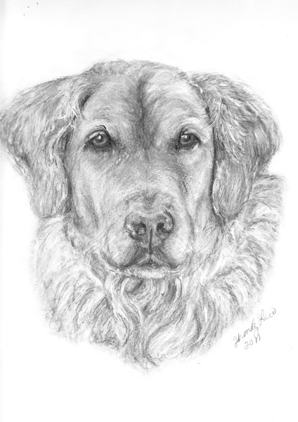 Dakota In Memory