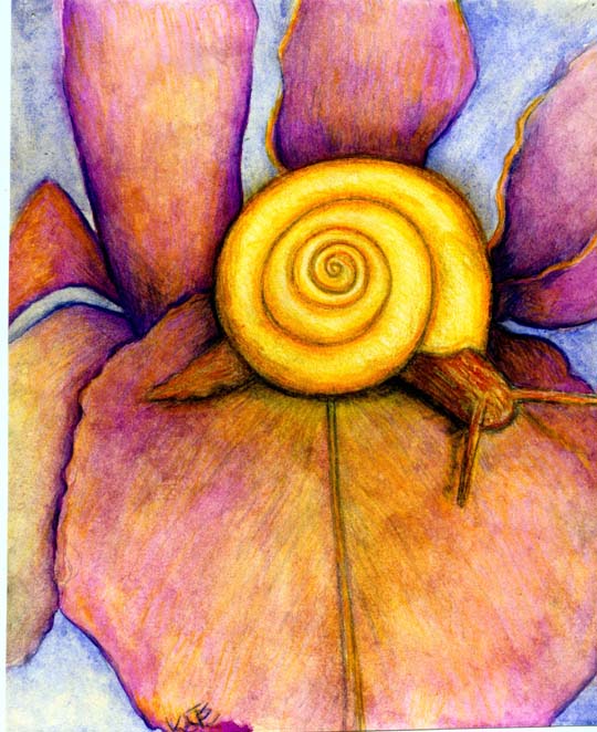 Snail Eating Iris