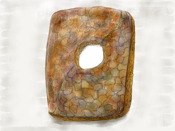 The First Wheel